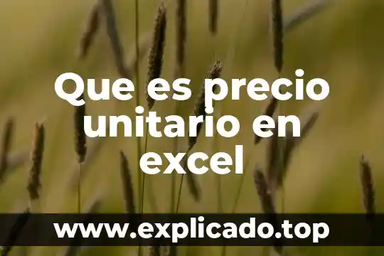 Que es un precio unitario matematicas 6 Que es precio unitario en excel
