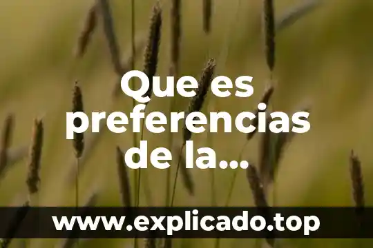 Que es una aficion personal ejemplos 8 Que es preferencias de la administración de empresas