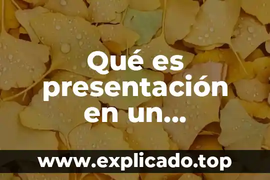Que es tamaño del documento 5 Qué es presentación en un documento