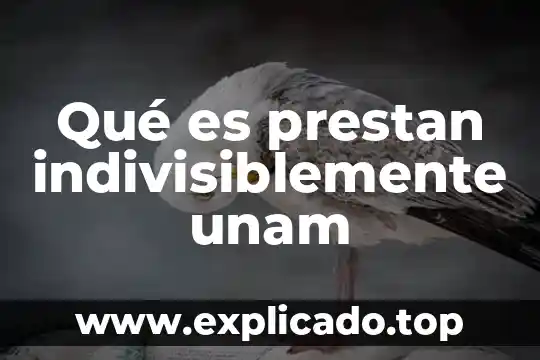 Que es el racismo federico navarrete unam 8 Qué es prestan indivisiblemente unam