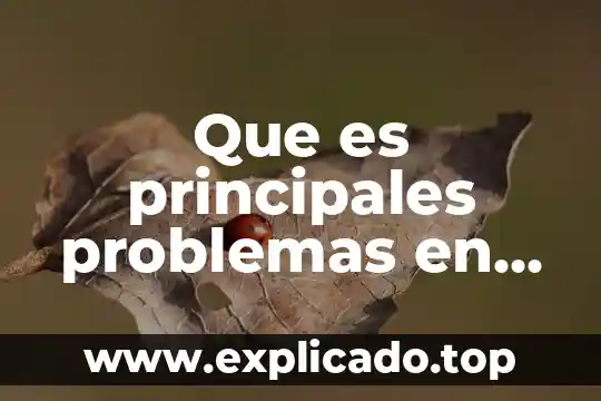 Que es una poblacion ecologia y sus caracteristicas yahoo 7 Que es principales problemas en que afectan la población