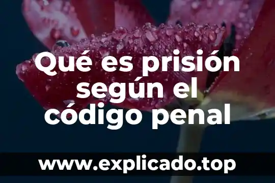 Que es la prueba en el nuevo codigo procesal penal 5 Qué es prisión según el código penal