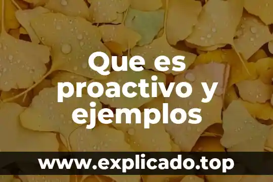 Que es macroscopicas ejemplos 3 Que es proactivo y ejemplos