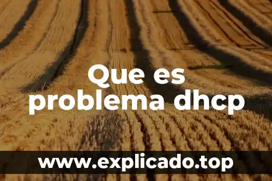 Que es problema dhcp