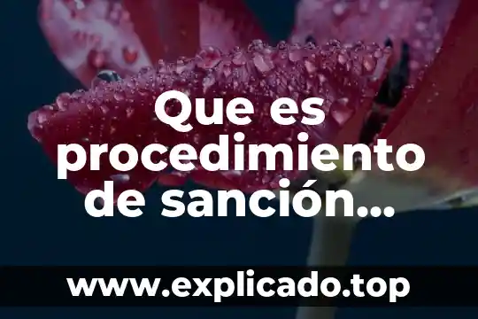 Qué es una tutoría administrativa 7 Que es procedimiento de sanción administrativa