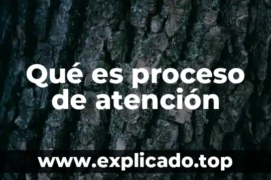 Que es un proceso irreversible termodinamica 4 Qué es proceso de atención