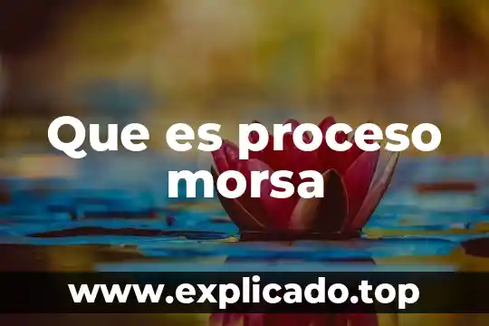 Que es la existencia del hombre 4 Que es proceso morsa