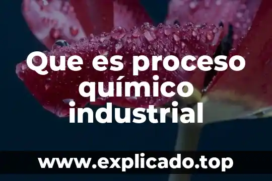 Que es quimico para la materia de formacion 8 Que es proceso químico industrial