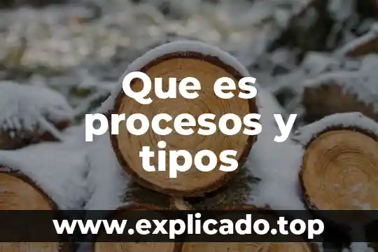 Que es procesos y tipos