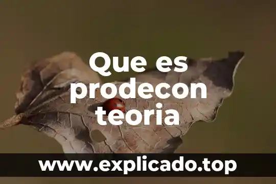 Qué es la teoría crítica y sus máximos representantes 6 Que es prodecon teoria