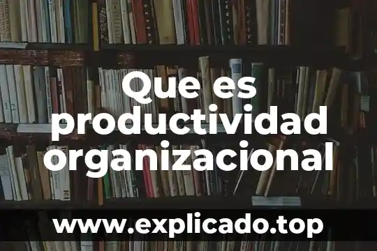 Que es una delegacion en la dimension organizacional 6 Que es productividad organizacional
