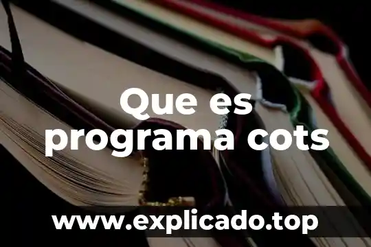 Que es un programa de talleres de alfareria 5 Que es programa cots