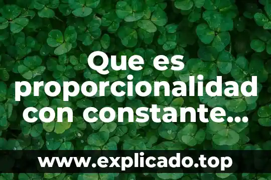 Que es la respiracion directa y el intercambio de gases 3 Que es proporcionalidad con constante directa
