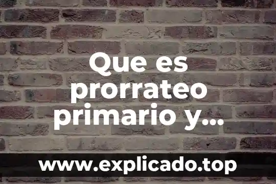 Qué es un cloroplasto primario 8 Que es prorrateo primario y secundario