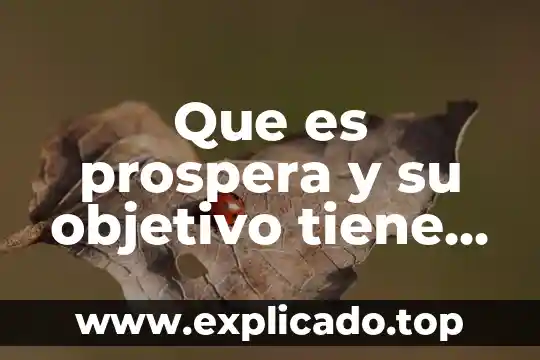 Qué es función o objetivo 7 Que es prospera y su objetivo tiene el programa