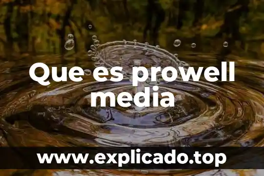 Qué es el error estándar media 3 Que es prowell media