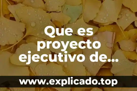 Que es un resumen ejecutivo financiero 3 Que es proyecto ejecutivo de obra arquitectonica