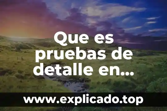 Que es una pruebas destructivas 7 Que es pruebas de detalle en auditoria
