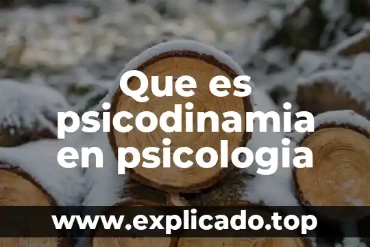 Que es psicodinamia en psicologia
