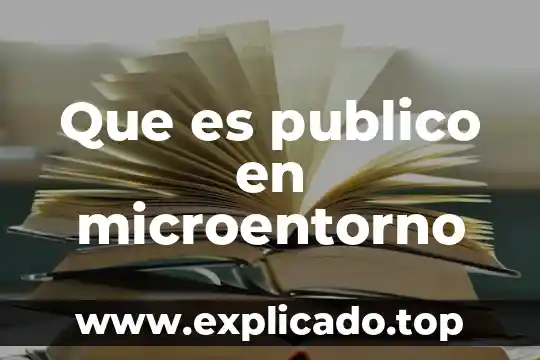 Que es registrador público 7 Que es publico en microentorno