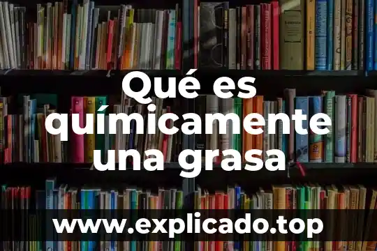 Que es un monosacarido quimicamente 3 Qué es químicamente una grasa