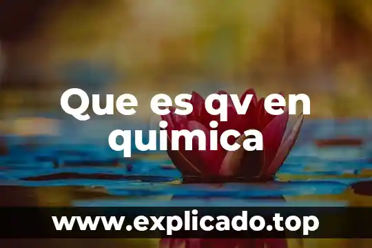 Que es codependencia en la violencia de genero 7 Que es qv en quimica