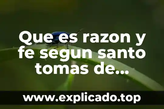 Que es la filosofia de la vida para santo tomas 5 Que es razon y fe segun santo tomas de aquino