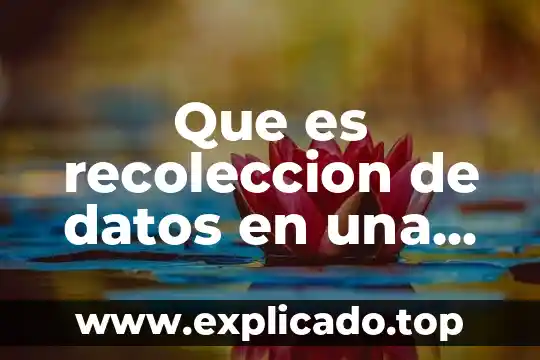 Que es recoleccion de datos que tipos exiasten 4 Que es recoleccion de datos en una investigacion