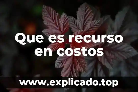 Materia prima que es en costos 4 Que es recurso en costos