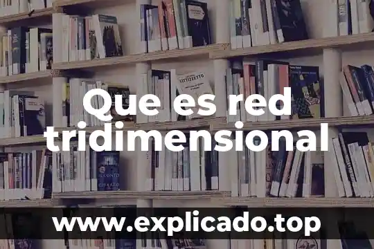 Que es bidimensional y tridimensional ejemplos 6 Que es red tridimensional