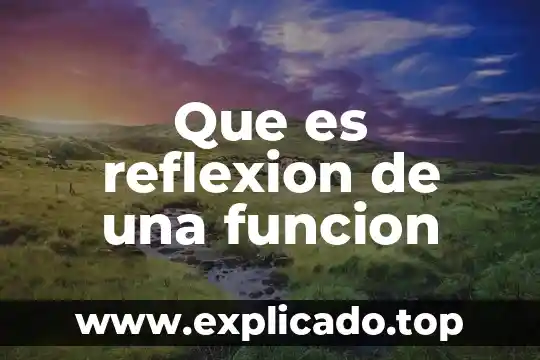 Que es el ser humano como un ser reflexion 3 Que es reflexion de una funcion