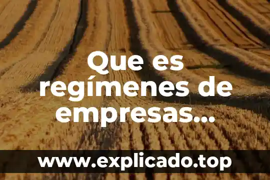 Filosofi que es 6 Que es regímenes de empresas integradoras