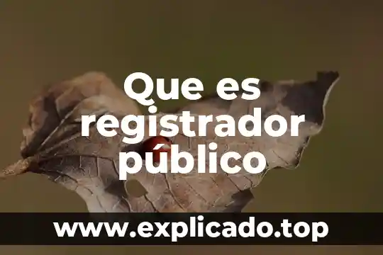 Que es decgo publico 8 Que es registrador público
