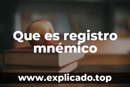 Que es una guajolota comida 3 Que es registro mnémico