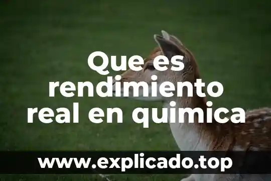 Que es excel y quienes lo utilizan mas 4 Que es rendimiento real en quimica