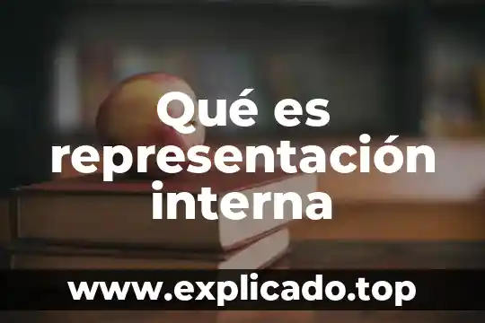 ¿Qué es la representación gráfica en programación? 3 Qué es representación interna