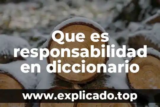 Que es escolarizado diccionario 3 Que es responsabilidad en diccionario
