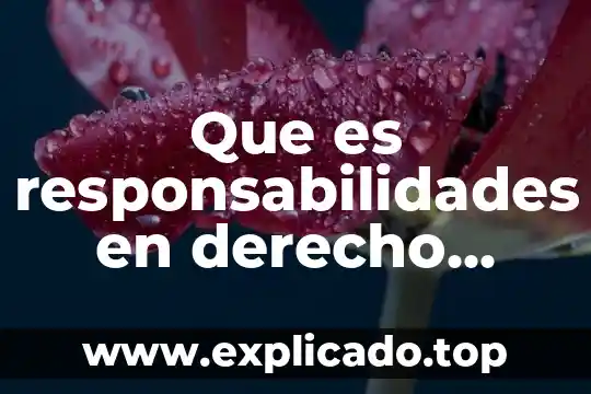 En derecho qué es causa mercantil 7 Que es responsabilidades en derecho mercantil
