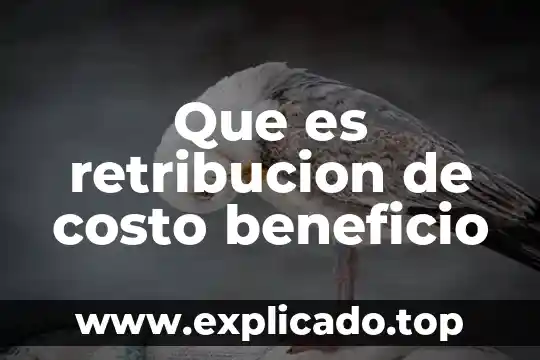 Que es una prueba de concepto impacto costo beneficio economico 3 Que es retribucion de costo beneficio