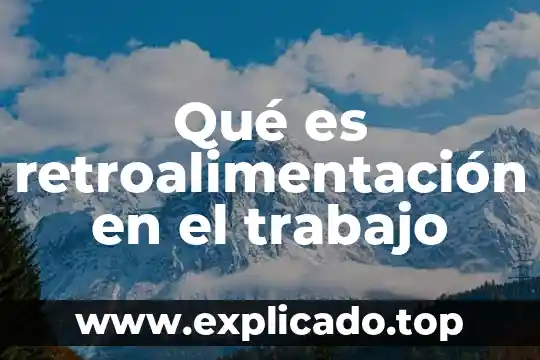 Qué es retroalimentación en el trabajo