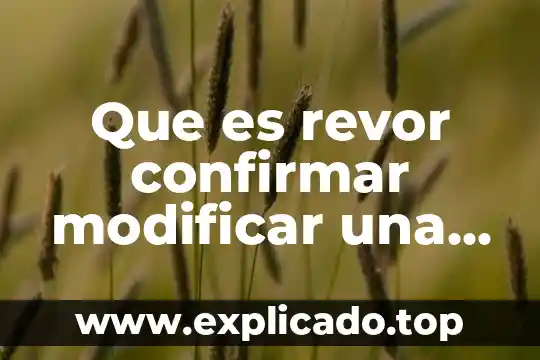Que es un sentencia en programacion 5 Que es revor confirmar modificar una sentencia en derecho penal
