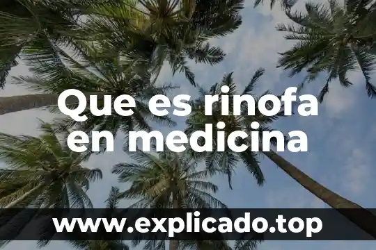 Que es pasante medicina 7 Que es rinofa en medicina