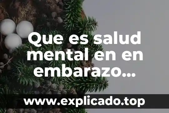Que es la salud segun la oms conversaciones 3 Que es salud mental en en embarazo segun la oms