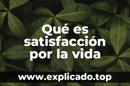 Que es la satisfaccion del personal 4 Qué es satisfacción por la vida