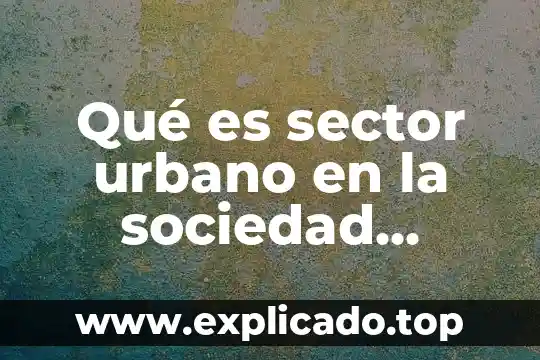Que es el desarrollo urbano municipal 7 Qué es sector urbano en la sociedad novohispana