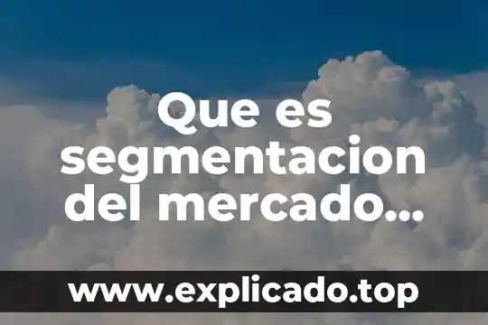 Segmentación de mercado que es el perfil del cliente 3 Que es segmentacion del mercado de un producto