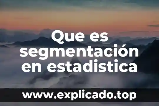 Segmentación de mercado que es el perfil del cliente 6 Que es segmentación en estadistica