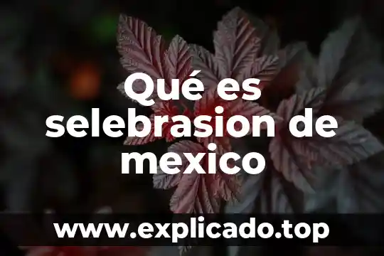 Que es un cholo en mexico 6 Qué es selebrasion de mexico