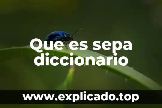 Que es el liber d una planta 7 Que es sepa diccionario