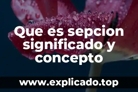 Que es bajonear significado 5 Que es sepcion significado y concepto
